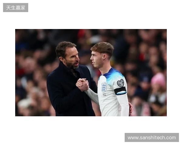 图赫尔谈10号位:一阶段考察帕尔默&福登;二阶段贝林&罗杰斯 图赫尔谈10号位:一阶段考察帕尔默&福登;二阶段贝林&罗杰斯